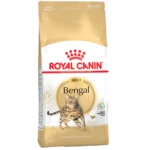 RC Feline Bengal 1024x
