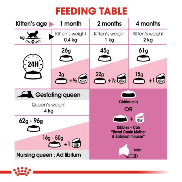 Royal Canin Kitten Dry Cat Food - غذای خشک رویال کنین-4
