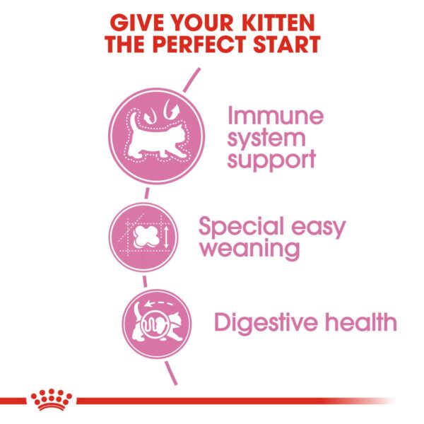 Royal Canin Kitten Dry Cat Food - غذای خشک رویال کنین