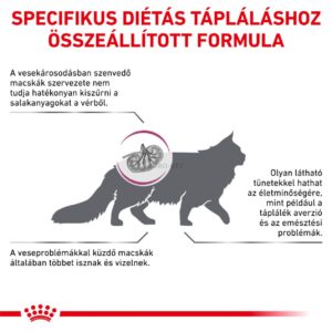 غذای خشک گربه رویال کنین مدل Royal Canin Renal Dry Cat Food وزن 2 کیلویی