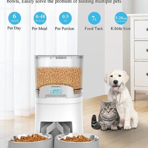 ظرف غذای اتوماتیک سگ و گربه مناسب دارای دو جایگاه مارک honeyguaridan
