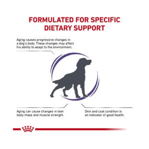 غذای خشک سگ بالغ مدیوم 3.5 کیلو گرم Royal Canin Consult Medium Dog