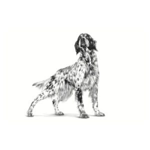 غذای خشک سگ بالغ ضد حساسیت رویال کنین 1.5 کیلوگرم Royal Canin Sensitivity Control